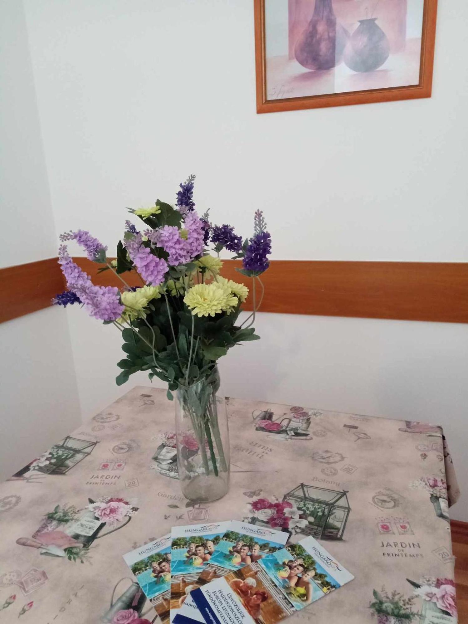 Oazis Wellness Apartman2 Hajdúszoboszló Extérieur photo
